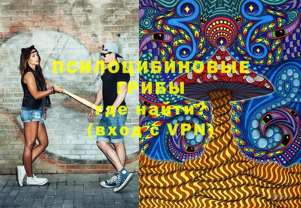 дживик Алексин