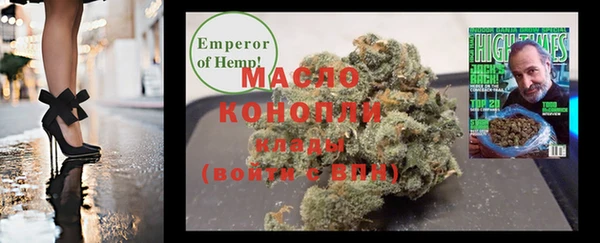 хмурый Дмитровск