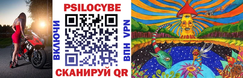 Псилоцибиновые грибы мицелий  как найти   Бикин 